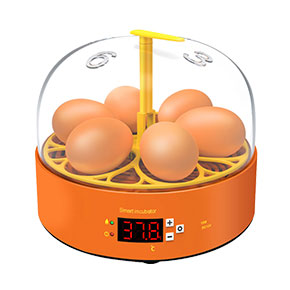 Mini Egg Incubator