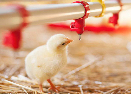 Shenzhen Essens Technology Co., Ltd.